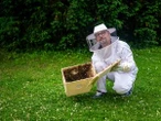 „Berlin ist für die Tiere ideal” Imker bringt seine Bienen in Fünf-Sterne-Hotel unter