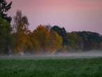 Herbstwetter in Berlin Am Wochenende häufiger Sonne bei einstelligen Temperaturwerten