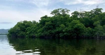 Britânica conta como deu soco em crocodilo para salvar irmã gêmea