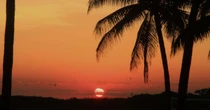 Mudanças climáticas: o que faz uma 'chefe de calor', cargo criado em Miami para combater 'assassino silencioso'