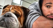 Cachorro de famoso morre em seus braços após coração parar