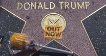 Trump declara guerra tarifária a filmes estrangeiros e ameaça modelo econômico de Hollywood