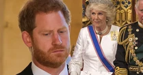 'Não há...': Rainha Camilla se torna um ponto 'inegociável' na reconciliação do príncipe Harry com o pai, Rei Charles III