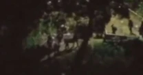 Criminosos do Ceará e do Rio armados com fuzis fogem pela mata na Rocinha; veja o vídeo