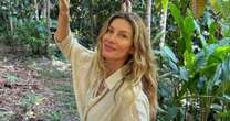 Dieta de Gisele Bündchen: grávida do 3º filho, modelo nunca come um ingrediente que provavelmente você tem em casa