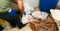 Furtos de cabos elétricos deixam quase 23 mil clientes sem energia em Porto Alegre em 2026