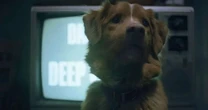 Cachorro do terror 'Bom Menino' quer reconhecimento para animais no Oscar