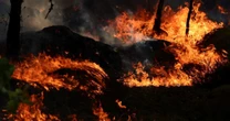 Fontainebleau: incêndio florestal nos arredores de Paris já consumiu mais de 2 mil hectares
