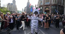 Hungria investiga rebanho de zebras pertencente a um aliado do ex-premiê Orbán