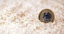 Mesmo com leilão suspenso, governo Lula projeta queda no preço do arroz