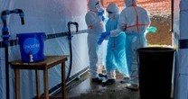 Moderna anuncia parceria para desenvolver vacina contra cepa Bundibugyo do ebola