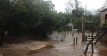 Chuva intensa no RS afeta cidades devastadas por enchente histórica de 2024; mortes foram registradas