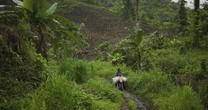 Países da UE pedem revisão de lei contra desmatamento apesar da destruição de florestas tropicais