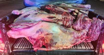PRF apreende em Garanhuns 800 kg de carne sem condições de higiene que seria vendida no Recife