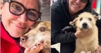Polícia apura produção de documentos falsos para eutanásia de animais em Canoas