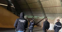 Milhares de toneladas de sementes ilegais são retiradas do campo Gaúcho