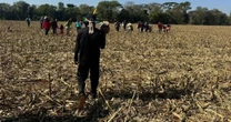 Indígena é morto decapitado no PR; governo relata carta com ameaças