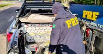 Contrabandista é preso com mais de 160 kg de agrotóxicos ilegais em Eldorado do Sul
