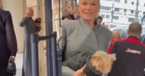 Cachorro de Xuxa vai em desfile de moda e web dispara: 'Mais rico que nós'