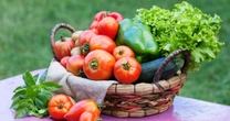 Orgânicos ganham destaque com a chegada da primavera