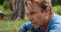'Era uma porcaria': poucos lembram, mas Steven Spielberg foi o culpado por um detalhe em 'Jurassic Park' que rendeu duras críticas a Sam Neill