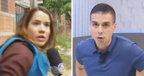 Repórter do SBT fica presa em tiroteio e apresentador se desespera: 'Se abaixa'