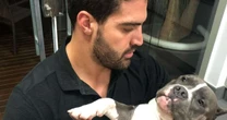 Latam é condenada a pagar R$30 mil após cachorro morrer em voo