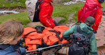 Cadela que ingeriu maconha é resgatada na montanha mais alta do Reino Unido