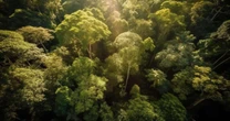 Belém sedia seminário sobre turismo regenerativo na Amazônia