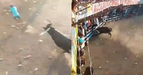 Homem morre após levar chifradas e ter pulmão perfurado por touro em festa na Colômbia; imagens são fortes