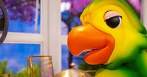 Globo renova contrato com Louro Mané do 'Mais Você'; salário do 'neto' de Ana Maria Braga na TV é revelado. Descubra!