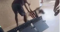 Pitbull ataca e mata filhote de vira-lata em unidade de saúde no ES