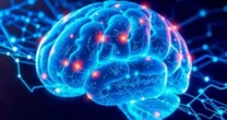 5 hábitos para melhorar a memória: Neurociência revela estratégias simples e surpreendentes