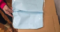 Mulher confessa ter enviado cachorro morto para vereadora em Novo Hamburgo