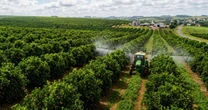 Gulf participa da Bahia Farm Show com produtos certificados