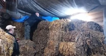 Operação mira furtos de tabaco e fiscaliza mais de 38 toneladas de produto no RS