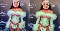 Anitta descreve encontro com Rei Charles e defende preservação do meio ambiente