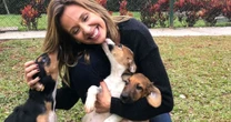 O que diz a psicologia sobre as pessoas que estão sempre acariciando os cães na rua