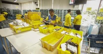 Correios têm prejuízo de R$ 2,6 bilhões em 2024, quatro vezes mais que no ano anterior