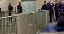 Cachorro é morto por policial durante comemoração do título do Knicks e caso gera revolta nos EUA