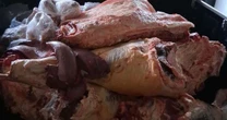 Operação fecha abatedouro clandestino e apreende mais de 1,2 tonelada de carne na Região Central