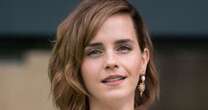 Adeus cinema, olá Doutora Hermione? Aos 34 anos, Emma Watson dá novo e difícil passo em vida acadêmica: 'Fica em segundo plano'