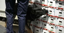 'Tsunami branco': Península Ibérica é porta de entrada de cocaína na Europa