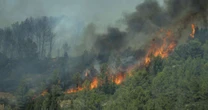 Prefeita atribui maior incêndio do verão na França à ação humana: 'irresponsabilidade das pessoas'