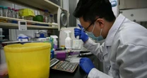 Cortes na ciência nos EUA aceleram êxodo de pesquisadores rumo à China
