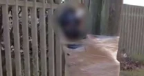 Homem suspeito de furtos é amarrado a poste e espancado em Rio Grande; polícia investiga tortura
