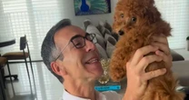 César Tralli apresenta nova mascote da família e encanta seguidores
