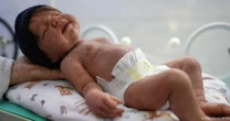 Bebês reborn estão em todo lugar ou é ilusão de redes sociais?