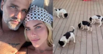 Giovanna Ewbank e Bruno Gagliasso salvam oito cachorros na estrada