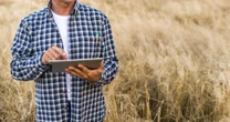 Pagamento rural exige atenção à segurança jurídica